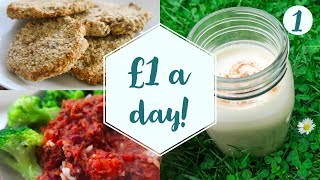 How to live on £1 a day |  Vegan on a budget | DAY 1