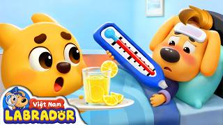 🌡️ Chú Labrador bị ốm | Bị cảm lạnh | Hoạt hình thiếu nhi 👮 Cảnh sát trưởng Labrador Vietnam 🚔
