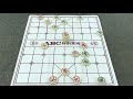 中国象棋：看完不要学🤔？