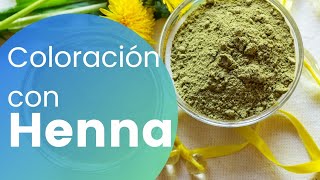 HENNA Cómo preparar y APLICAR HENNA en el cabello y de forma correcta PERMANENTE y SEMI PERMANENTE