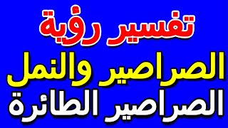 ما تفسير رؤية الصراصير الطائرة- التأويل | تفسير الأحلام -- الكتاب الخامس