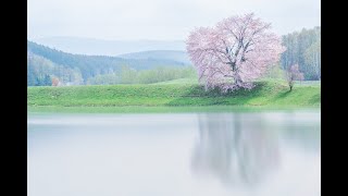 【東京カメラ部2020写真展 Online Exhibition】北海道 東川町 Visit Higashikawaインスタライブ（ゲスト：東川町長 松岡市郎氏・東京カメラ部10選井上浩輝氏）