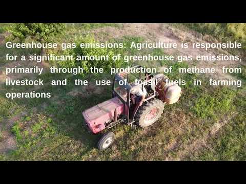 What are the negative effects of agriculture on the environment?