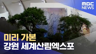 미리 가본 강원 세계산림엑스포 (2023.09.19/뉴스데스크/MBC강원영동)