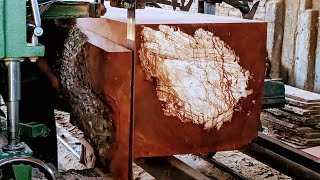 Amazing! The process of sawing giant mahogany is very dangerous