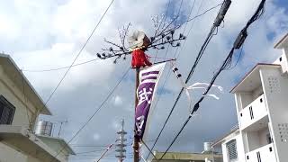 首里鳥堀町青年会 - 旗頭演舞（ハチウクシー／2019年03月03日／首里鳥堀町）(6)