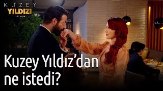 Kuzey Yıldızı İlk Aşk 17. Bölüm - Kuzey Yıldız'dan Ne İstedi?