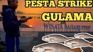 Mancing pantai batu, strike gulama (FISHING STONE BEACH, STRIKE GULAMA FISH)