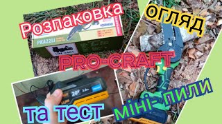 Міні- пила Pro-craft, чесний огляд, тест та висновки, які я зробив для себе.