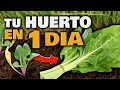 Haz tu HUERTO en Casa SIN COMPRAR SEMILLAS!! PLANTAS EN SOLO 1 DÍA | Huerto Urbano con POCO ESPACIO