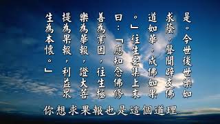 【黄警官讲故事】花报的含义（黄柏霖警官）