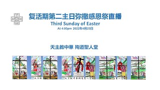 CMCC 復活期第二主日（救主慈悲主日） 弥撒直播    Sunday of Divine Mercy   Mass live broadcast at 4:00pm April 23 2022