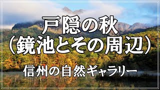 【信州の自然ギャラリー】38.戸隠の秋（鏡池とその周辺）