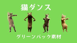 【グリーンバック素材】Green Screen Material. 猫ダンスのグリーンバック素材