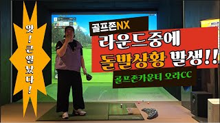 [오라CC] 골린이부부 와이프가 엄청난 규칙위반을!??!( 스크린골프, 골프존NX, 골프부부)