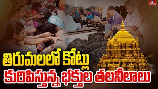 తిరుమలలో కోట్లు కురిపిస్తున్న భక్తుల తలనీలాలు | Special Story on TTD Hair Business | hmtv