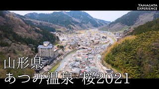 山形県あつみ温泉 ～ 2021春 サクラ ～