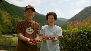 あぐりのチカラ 12月19日放送　四万十の栗