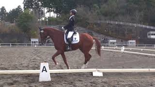 平成29年度関東学生馬術女子競技大会、男子馬術競技大会　馬場馬術競技　ジェントリーラック　溝渕哲也