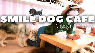 家里不能养宠物的泰国年轻人都去哪儿？遇到吻屁屁的清迈毛小孩DOG CAFE