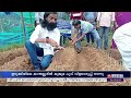 കിലോയ്ക്ക് 3 ലക്ഷം രൂപ സമൃദ്ധിയുടെ കുങ്കുമ പൂക്കൾ ഇനി കാന്തല്ലൂരിലും കൊയ്യാം saffron in idukki