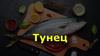 Тунец. Чем богат тунец, и чем он отличается от другой рыбы.