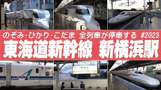 新横浜駅 全列車が停車 | 東海道新幹線 のぞみ・ひかり・こだま #東海道新幹線2023