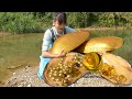 👑💎A golden water treasure, the girl found a golden mutated giant clam and many pearls in the river