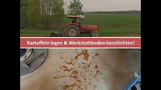 #84 Kartoffeln legen und Bodenbeschichtung für die Werkstatt #OIM