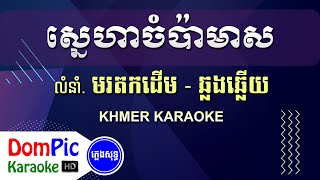 ស្នេហាចំប៉ាមាស ឆ្លងឆ្លើយ ភ្លេងសុទ្ធ - Sneha Champa Meas Pleng Sot - DomPic Karaoke