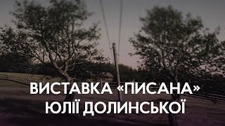 У Харкові відкрилася виставка «ПИСАНА» художниці Юлії Долинської