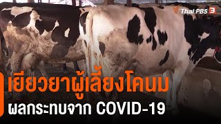 เยียวยาเกษตรกรผู้เลี้ยงโคนม - ผู้ประกอบการผลิตภัณฑ์นม : สถานีร้องเรียน (3 ก.พ. 64)