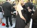 Stars Get Gorgeous for AmfAR Gala