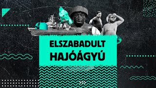 Elszabadult hajóágyú - A forradalom abortálja sejtcsomóit