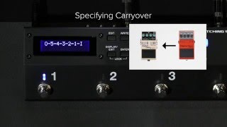 ES-5 Quick Start Chapter 6: Specifying Carryover