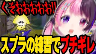 久々のスプラで絶叫しながらブチギレてしまうぷるる【ぷるる切り抜き】