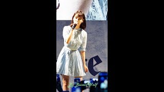 [4K] 아이유 직캠 IU FANCAM - 팔레트 (Palette) @해운대썸머페스티벌 170803 by BusanWolf