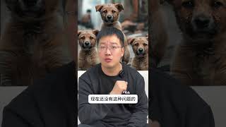 狗狗都遭罪成这样了，你真的看不见吗 狗狗 萌宠好物 养狗人 新手养狗 养狗经验分享