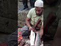 kasimedu selvam amazing big giant size river kural fish cutting shorts fishcutting kasimedu kural