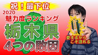 【2020年 都道府県魅力度ランキング】栃木県が最下位になった４つの要因