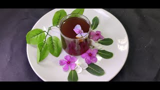 நித்திய கல்யாணி டீ (தேநீர்)|Catharanthus roseus Tea | Cancer Resistance | NithyaKalyani Tea | Tamil