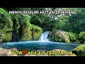 RELA BLUSUKAN DI HUTAN JEPANG DEMI LIHAT AIR TERJUN