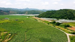 带你去观赏福建上杭李氏火德公逆水地螃蟹游湖