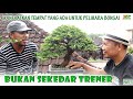 REVIEW BONSAI KOLEKSI TRENER BALI  || Pak De Bakti