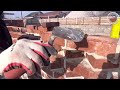 Кирпичная арка на белый шов бюджетный вариант под ручную формовку.brick arch.