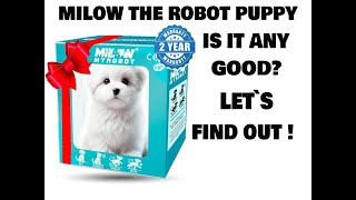 MILOW THE ROBOT PUPPY SCAM EVERYONE BEWARE