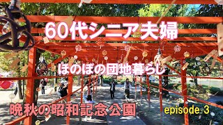 60代シニア夫婦　団地暮らし  「晩秋の昭和記念公園散歩」