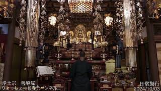 【疲れた心に癒やしの時間を】 毎日 お経配信  1642日目　 浄土宗　善導院  / Every day Japanese buddhism service