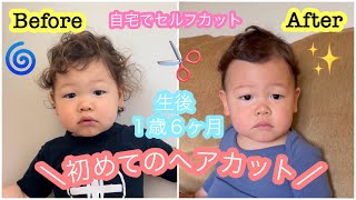 【１歳６ヶ月初めてのヘアカット】*自宅でセルフカット* ベビーヘアカット | クセ毛 | 男の子ヘアカット | 男の子ママ |アメリカ生活 |国際結婚 | Baby’s first hair cut