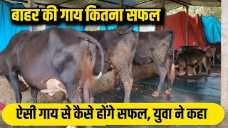 दूसरे राज्य से गाय खरीदना कितना सही कितना गलत/dairy farm bihar/sahiwal cow/dairy farm business